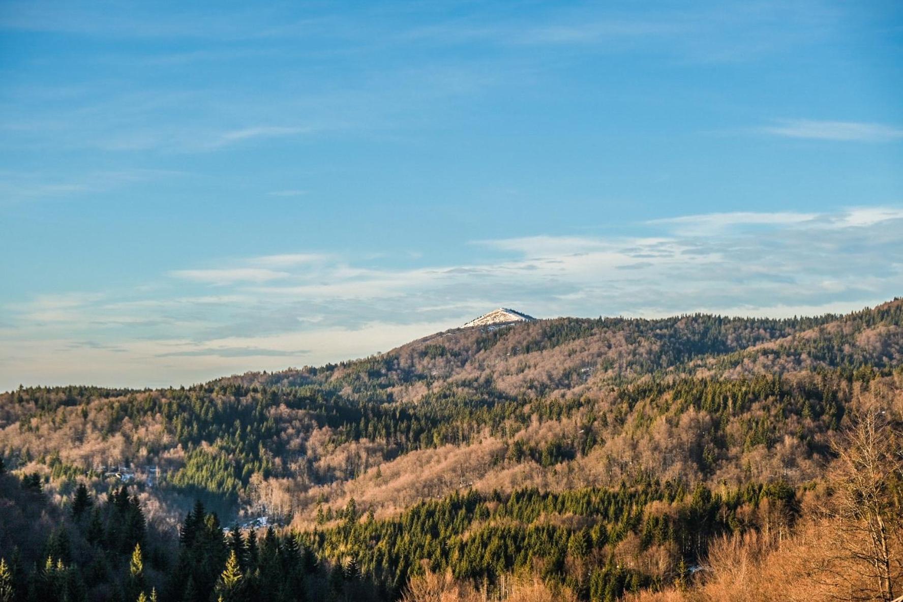 Vila Cajetinski Biser -Apartment Lux Kopaonik Dış mekan fotoğraf