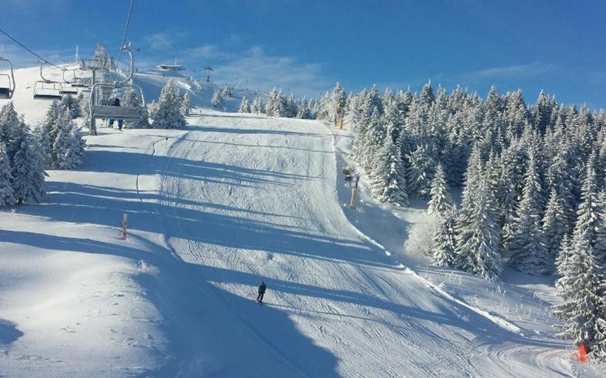 Vila Cajetinski Biser -Apartment Lux Kopaonik Dış mekan fotoğraf
