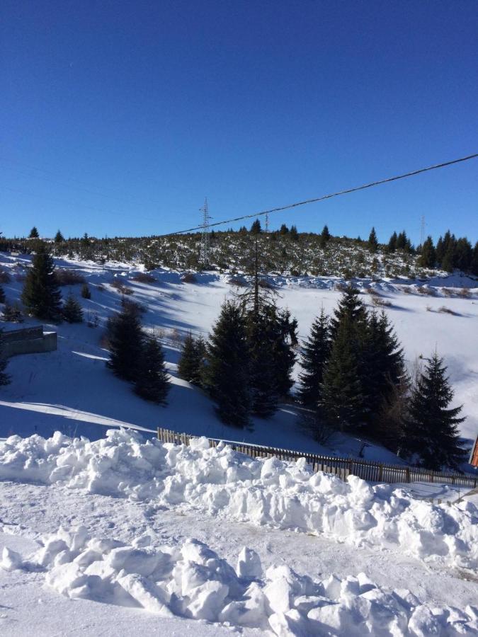 Vila Cajetinski Biser -Apartment Lux Kopaonik Dış mekan fotoğraf