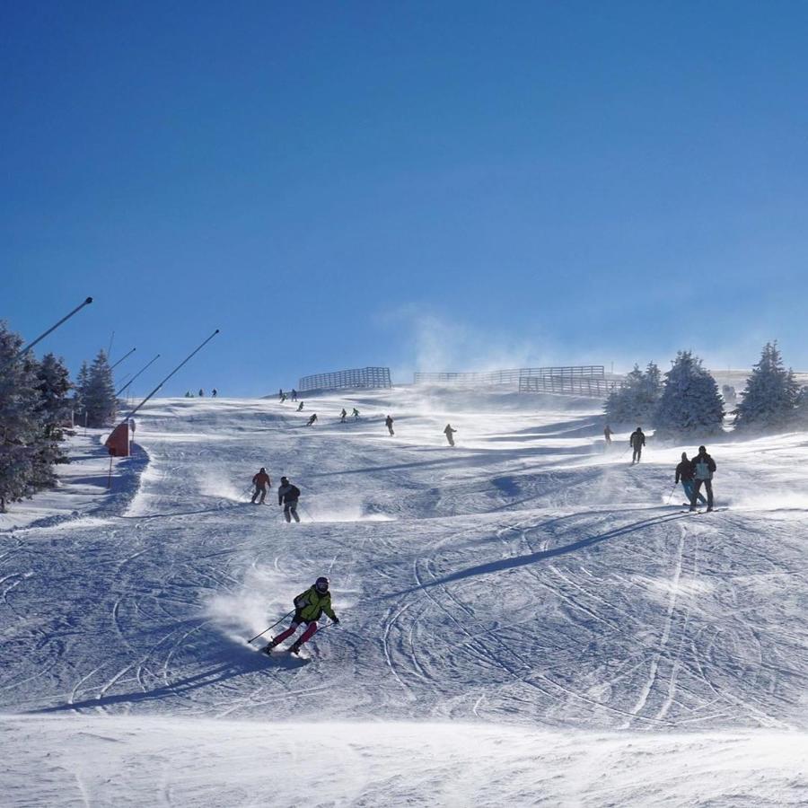 Vila Cajetinski Biser -Apartment Lux Kopaonik Dış mekan fotoğraf